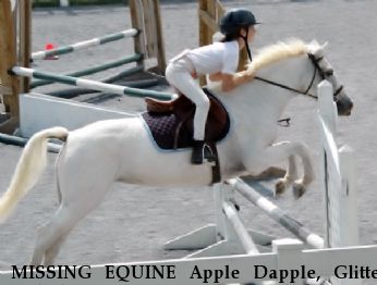 MISSING EQUINE Apple Dapple, Glitter and Flippy REWARD Near Middleburg, VA, 20117